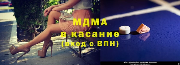 прущие грибы Няндома