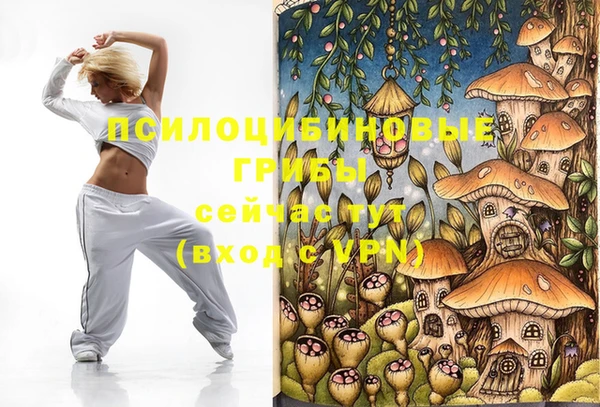 дживик Абаза
