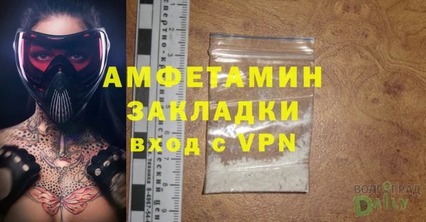 прущие грибы Няндома