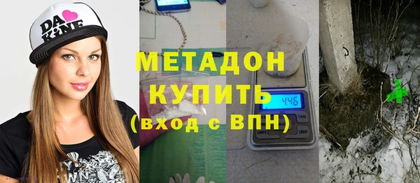прущие грибы Няндома