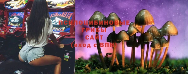 ПСИЛОЦИБИНОВЫЕ ГРИБЫ Абинск