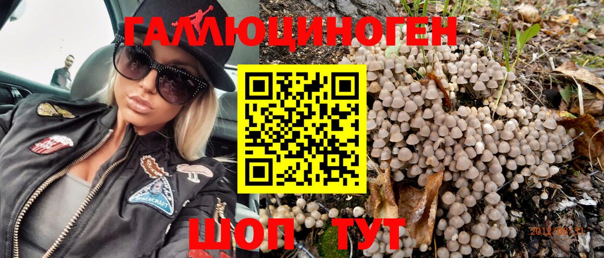 Псилоцибиновые грибы Psilocybine cubensis  Вход с VPN  Александров 