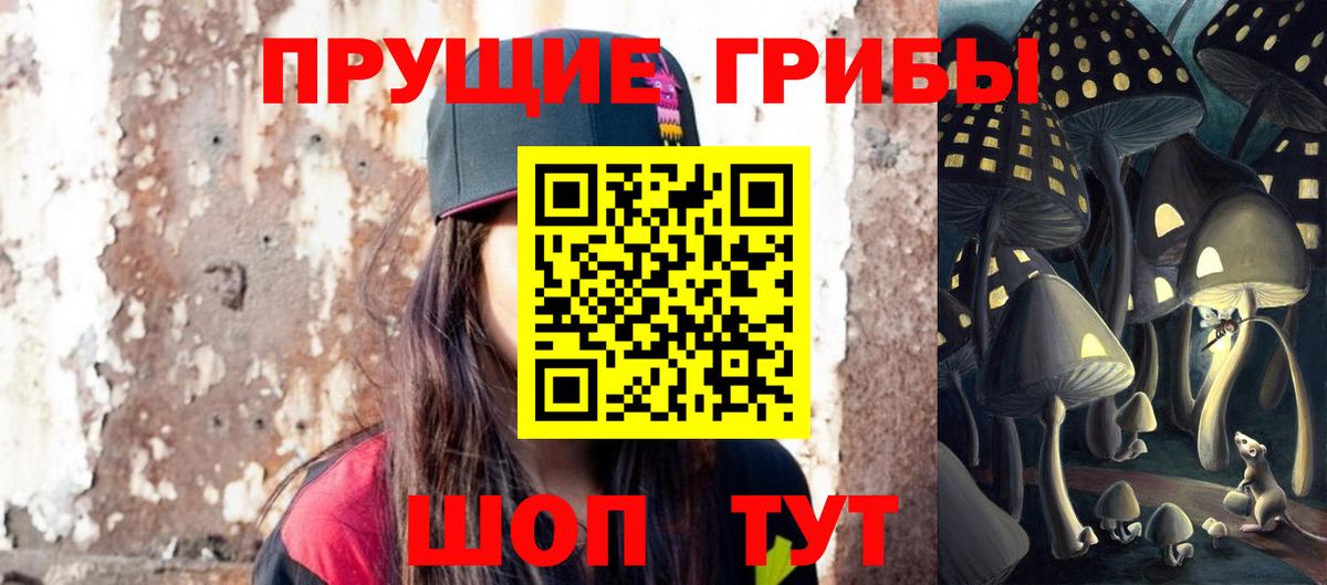Псилоцибиновые грибы MAGIC MUSHROOMS Александров