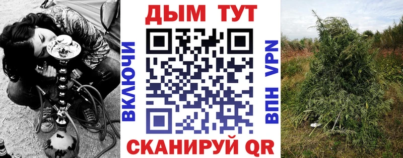 Канабис Amnesia  Александров 