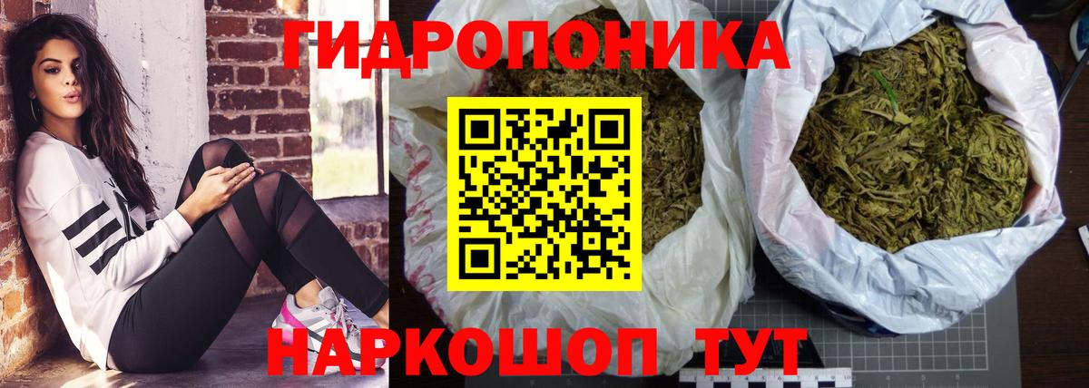 Бошки марихуана планчик Александров